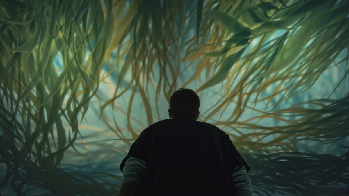 OMSI, Sit-spot: Reconnecting with the Living World. Oregon Museum of Science and Technology, OMSI, Climate Resilience, Immersive Exhibition, Science Museum, Tellart, Experience Design