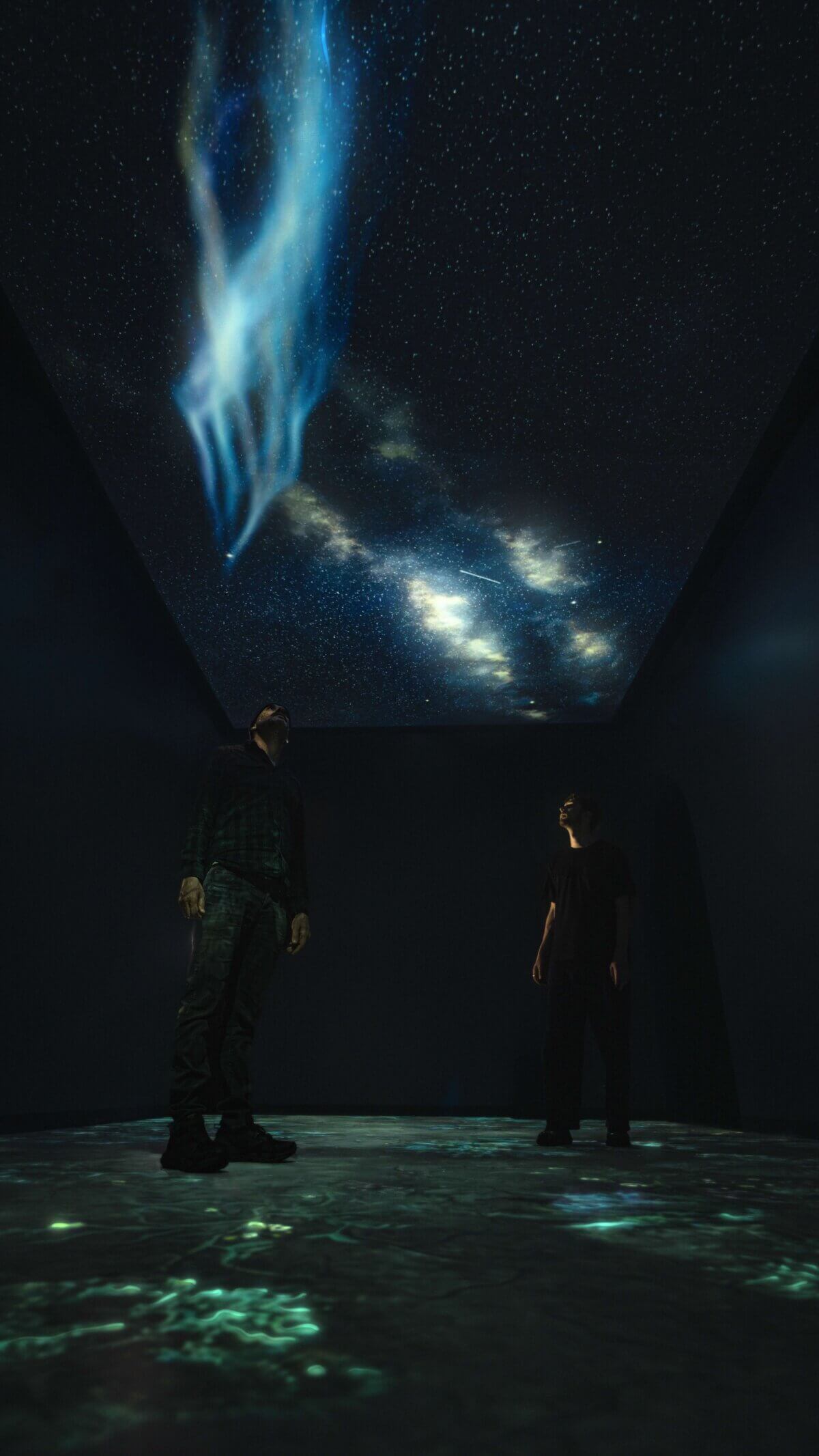 OMSI, Sit-spot: Reconnecting with the Living World. Oregon Museum of Science and Technology, OMSI, Climate Resilience, Immersive Exhibition, Science Museum, Tellart, Experience Design