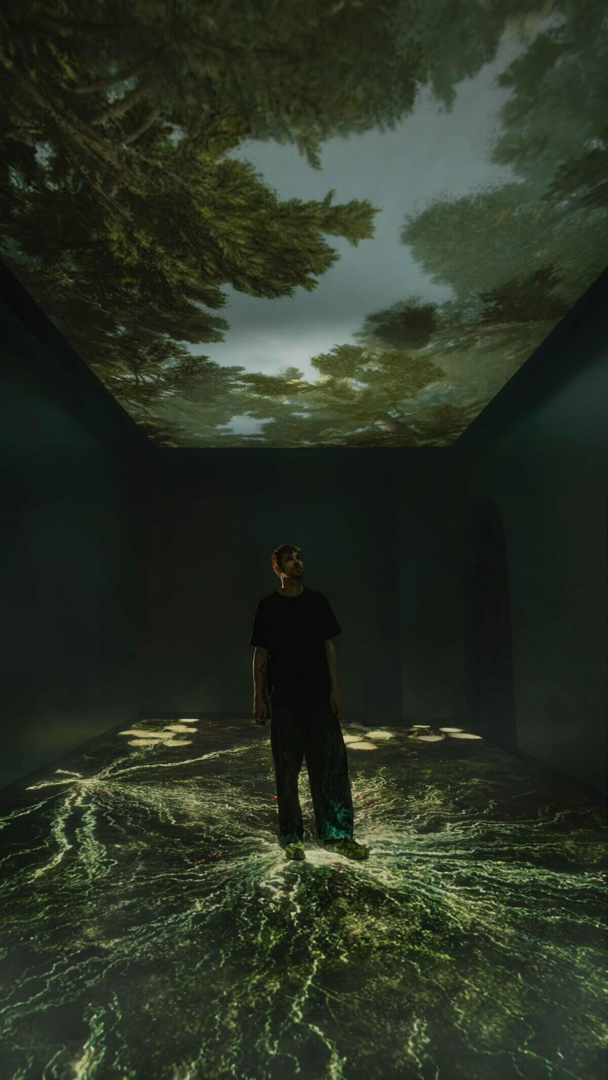 OMSI, Sit-spot: Reconnecting with the Living World. Oregon Museum of Science and Technology, OMSI, Climate Resilience, Immersive Exhibition, Science Museum, Tellart, Experience Design